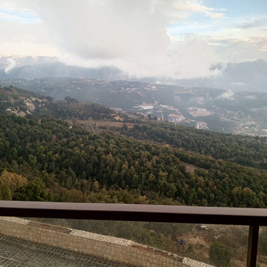 Villa For Sale In Annaya - فيلا للبيع في عنايا - GM113SZ