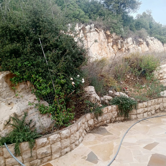 Villa For Sale In Annaya - فيلا للبيع في عنايا - GM113SZ