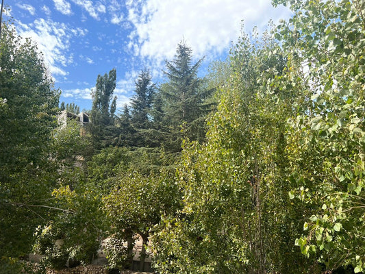 Chalet For Sale In Kfardebian - شاليه للبيع في كفردبيان GM115RM