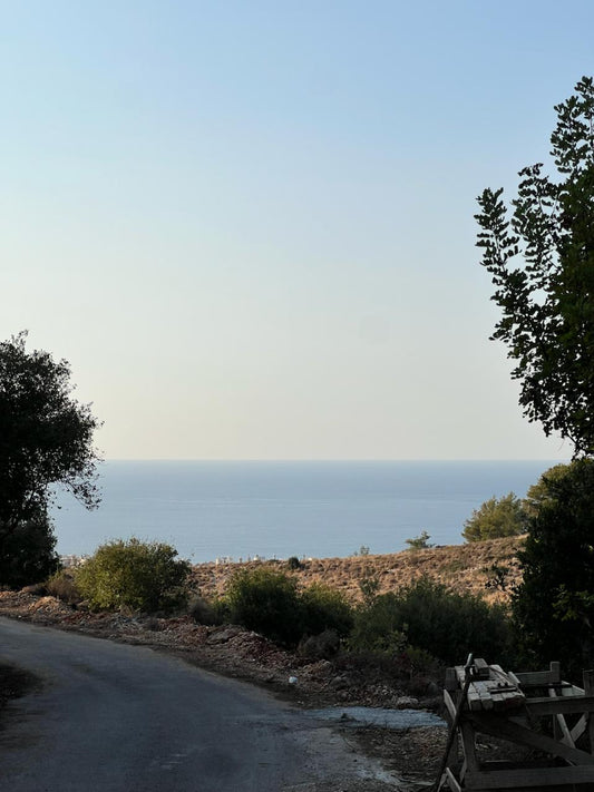 Land for sale in Basbina - أرض للبيع في بسبينة GM123JD