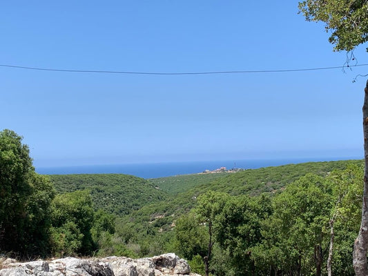 Land for rent in Hamat - أرض للإيجار في حامات GM125JD