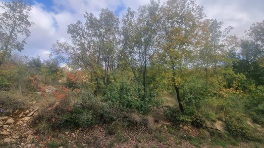 Land for sale in Bikfaya - أرض للبيع في بكفيا GM179MAN