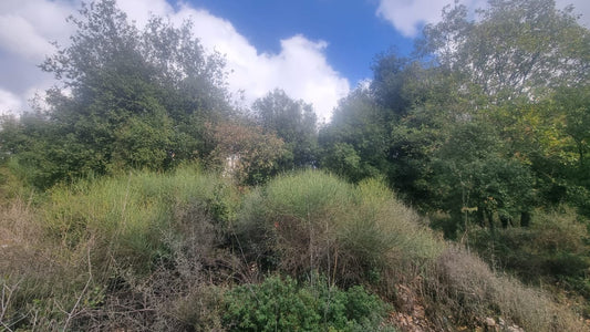 Land for sale in Bikfaya - أرض للبيع في بكفيا GM180MAN