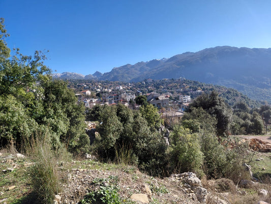 Land For Sale In Ehmej - أرض للبيع في إهمج - GM132SZ