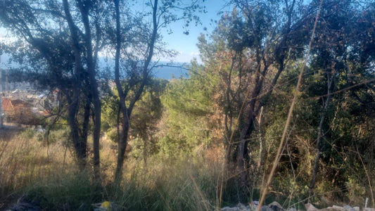 Land for sale in Mazraat Yachouh - أرض للبيع في مزرعة يشوع GM186MAN