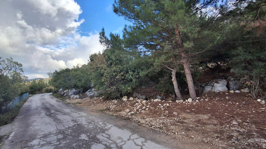 Land for sale in Hardine - أرض للبيع في حردين GM168CM