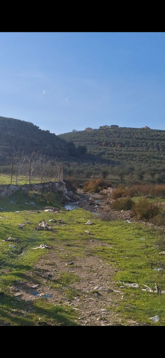 Land for sale in Bziza - أرض للبيع في بزيزا GM170CM