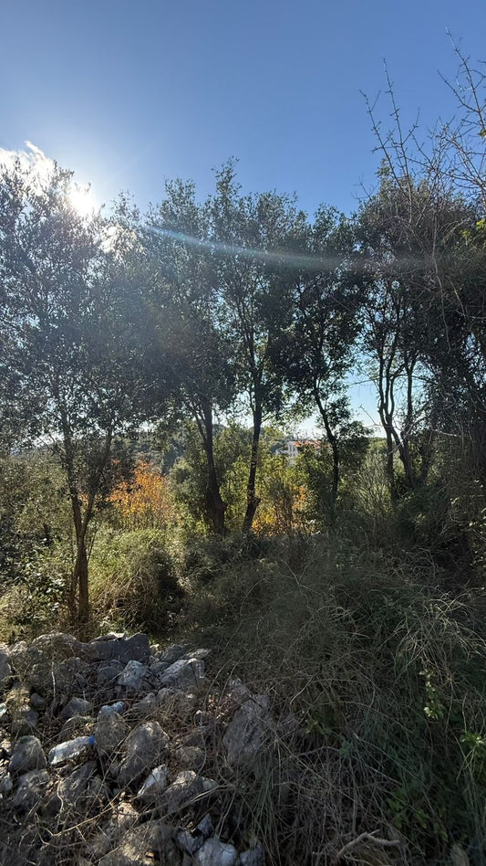 Land for sale in Batroun - أرض للبيع في البترون GM180SA