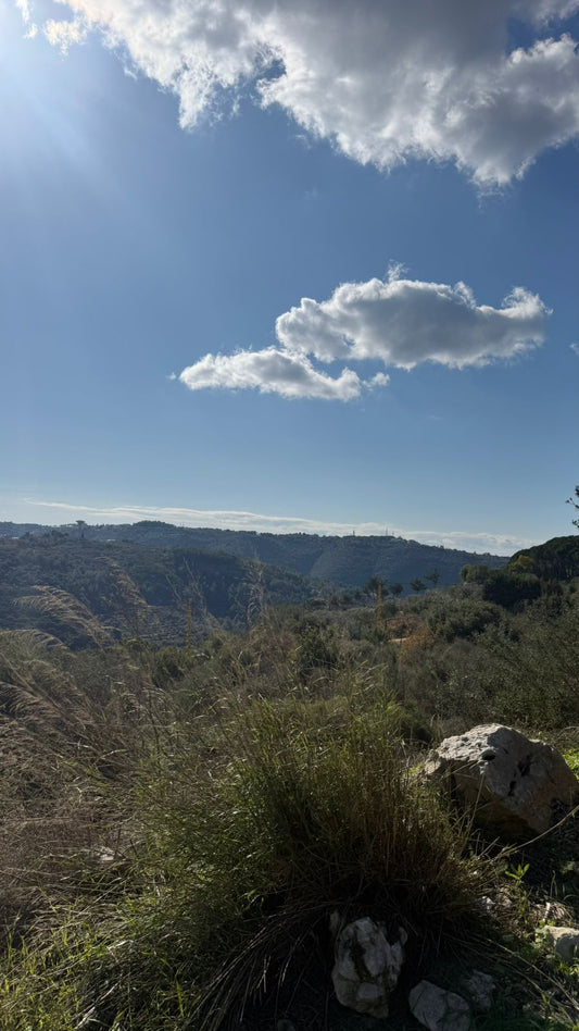 Land for sale in Batroun - أرض للبيع في البترون GM183SA