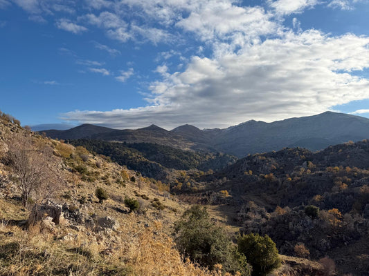 GMN108KG Land for sale in Tannourine - أرض للبيع في تنورين