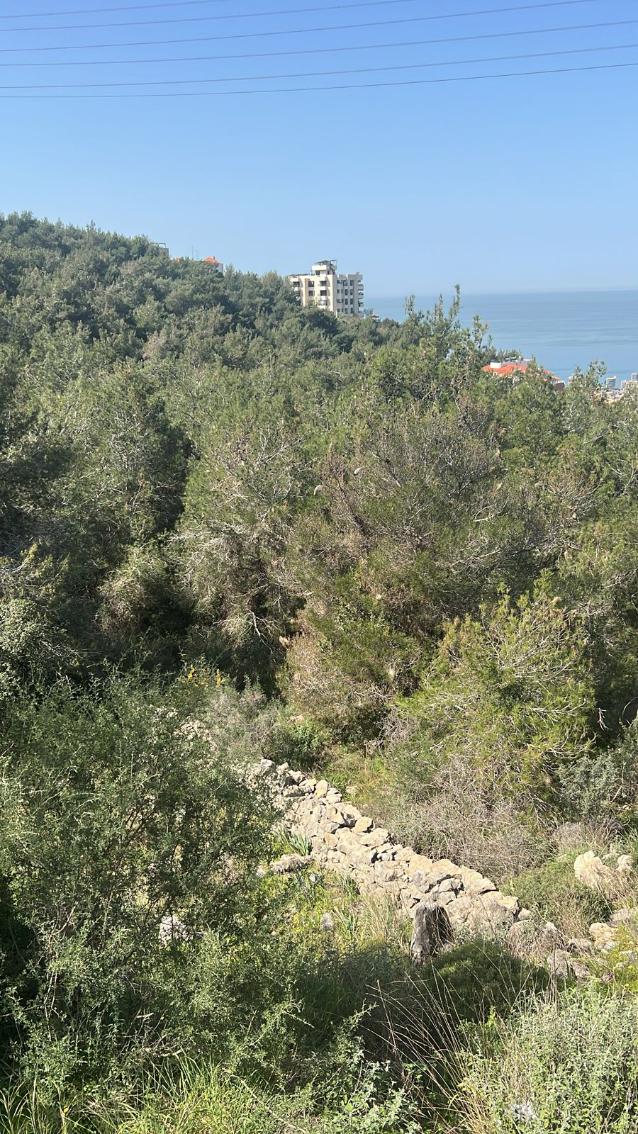 GMC432R Land for sale in Bsalim - أرض للبيع في بساليم