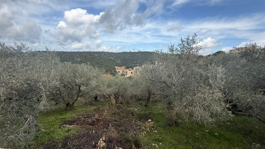 GMB188SA Land for sale Ijdabra - أرض للبيع في إجدبرا