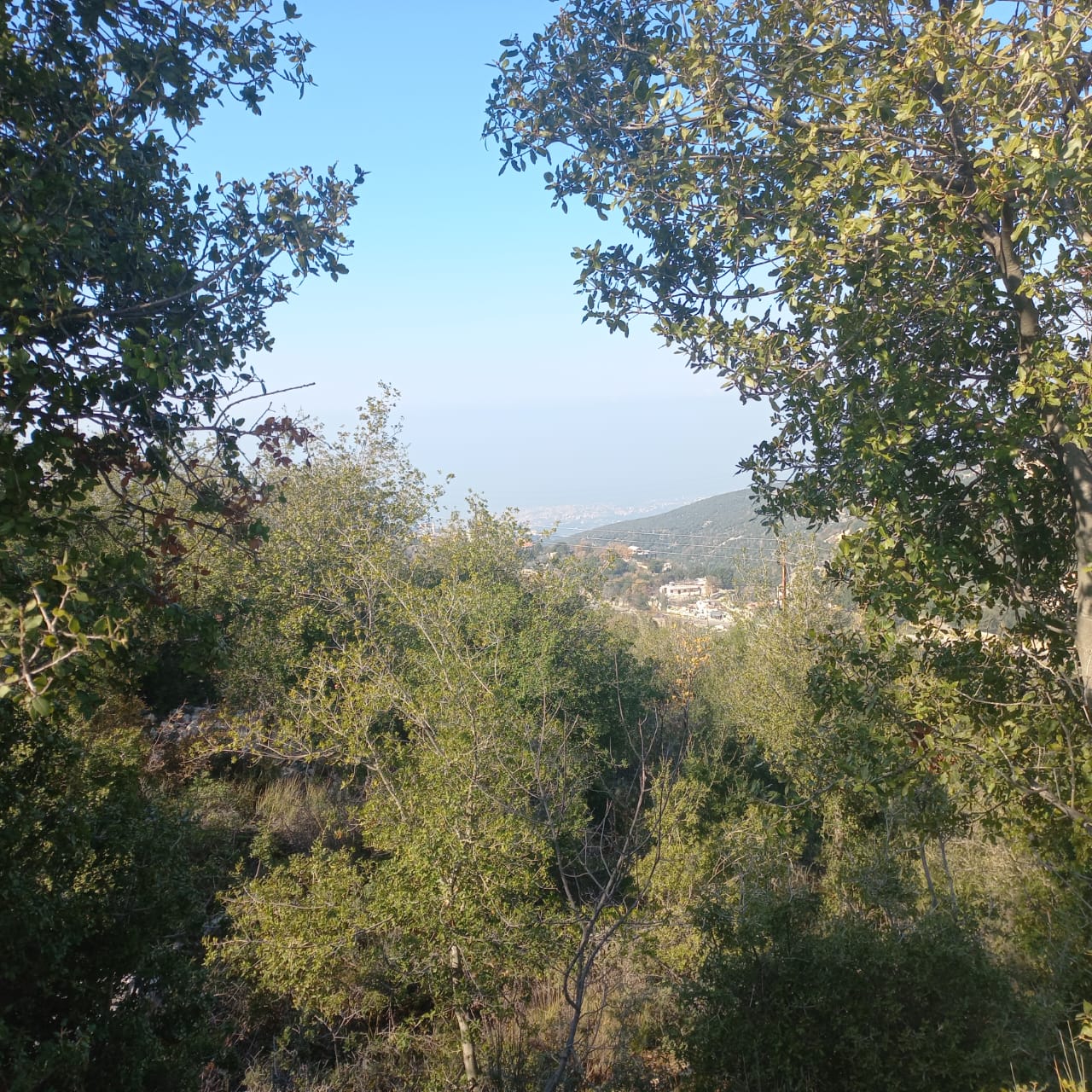 GMB170SZ - Land For Sale In Annaya - أرض للبيع في عنايا