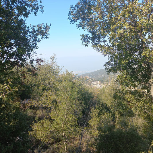 GMB170SZ - Land For Sale In Annaya - أرض للبيع في عنايا