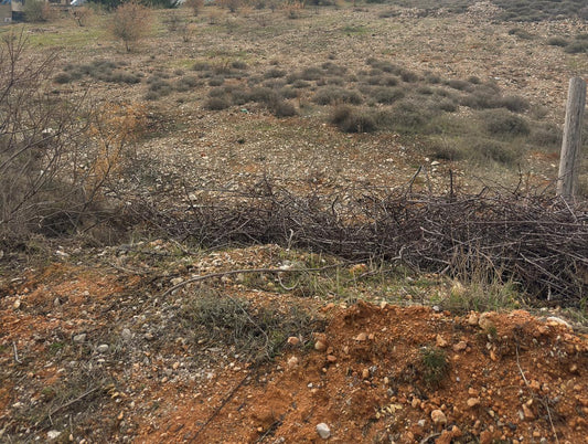GMZ117CS Land for sale in Zahle - أرض للبيع في زحلة