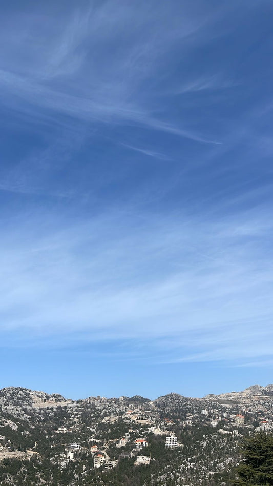 GMK219Y - Land For Sale In Faitroun - أرض للبيع في فيترون