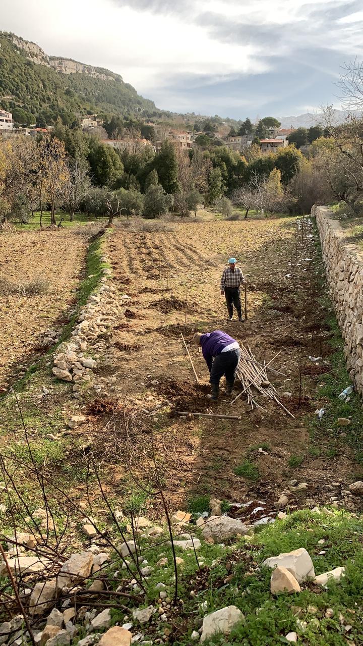 GMB138RM -Land for Sale in Lehfed - أرض للبيع في لحفد