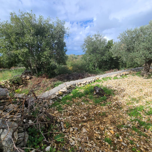Land For Sale In Rihane -Jeddayel أرض للبيع في ريحان - جدايل - GMB151G