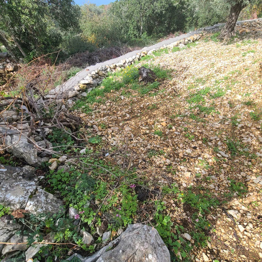 Land For Sale In Rihane -Jeddayel أرض للبيع في ريحان - جدايل - GMB151G