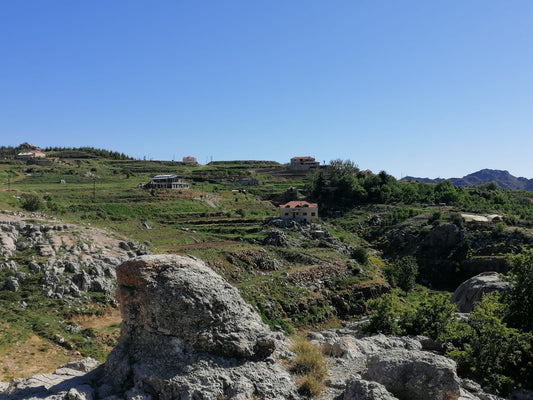 GMK169SZ - Land For Sale In Laklouk - أرض للبيع في اللقلوق