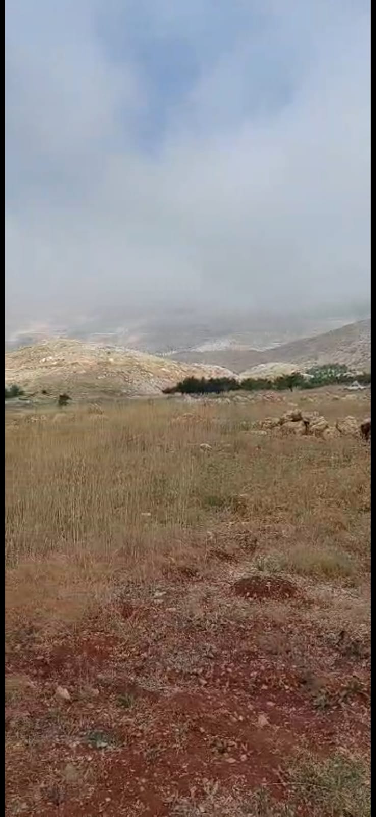 GMC452R Land for sale in Cedars El Arz - أرض للبيع في أرز لبنان
