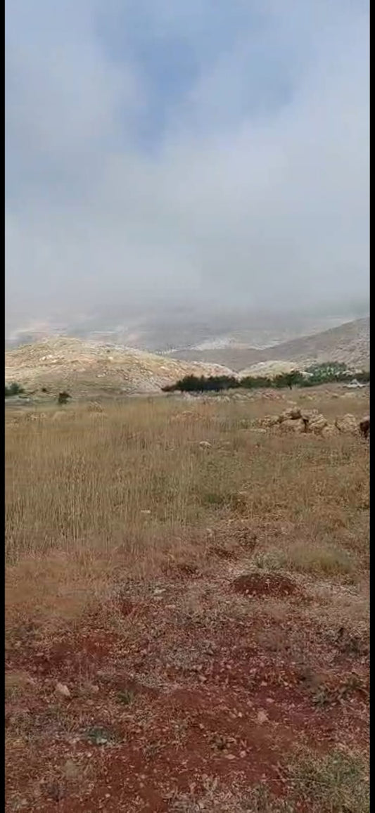 GMC452R Land for sale in Cedars El Arz - أرض للبيع في أرز لبنان