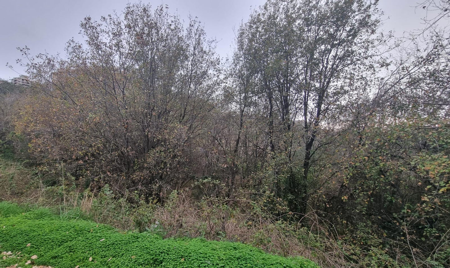 GMC220MAN Land for sale in Beit Chabab - أرض للبيع في بيت شباب