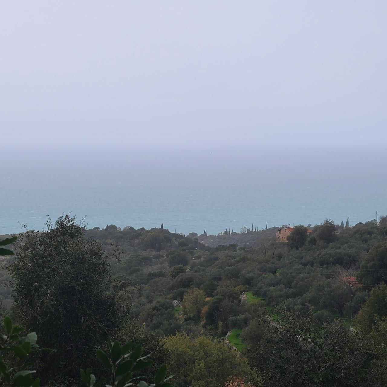 GMB106JS - Land For Sale In Monsef - أرض للبيع في المنصف