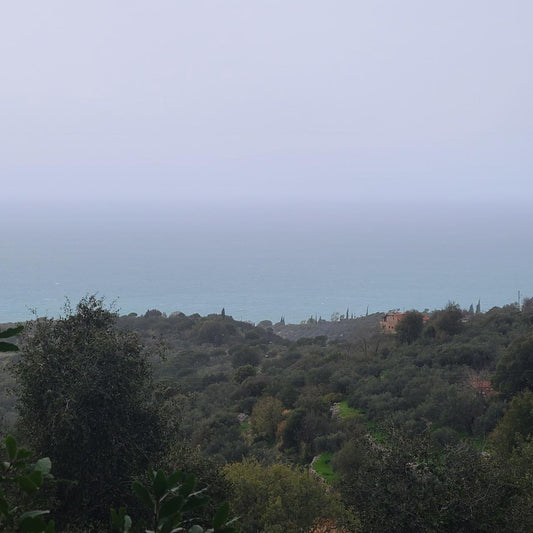 GMB106JS - Land For Sale In Monsef - أرض للبيع في المنصف