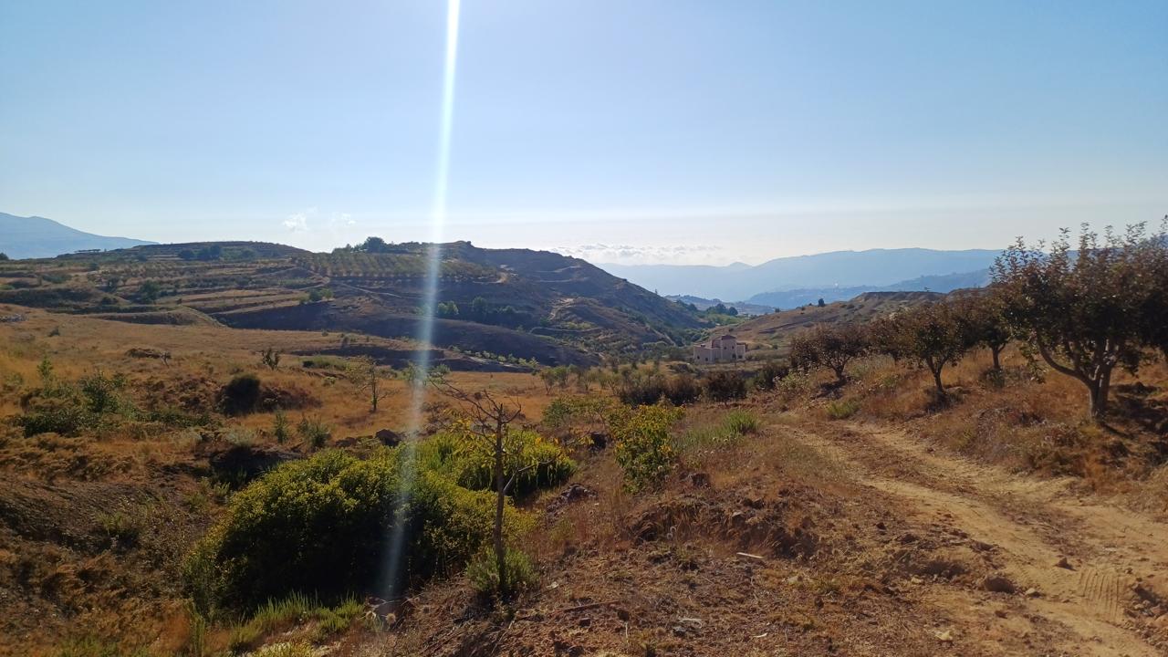 GMC464R Land for sale in Tarchich - أرض للبيع في ترشيش