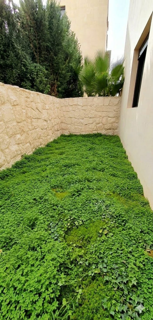 GMB219SA Apartment for sale in Kfaraabida - شقة للبيع في كفرعبيدا