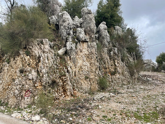 GMK248SS - Land for sale in Beqaatet Achqout - أرض للبيع في بقعاتة