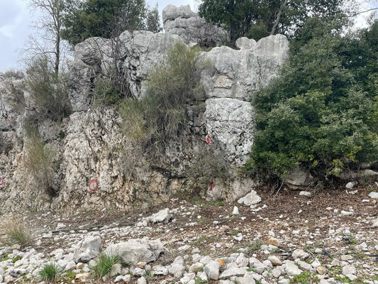 GMK248SS - Land for sale in Beqaatet Achqout - أرض للبيع في بقعاتة