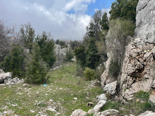 GMK149SS - Land For Sale In Beqaatet Achqout - أرض للبيع في بقعاتة