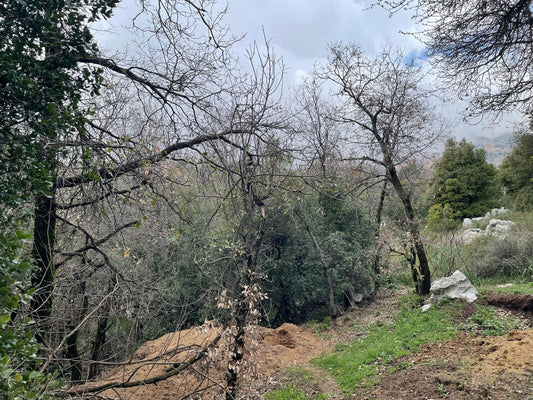 GMK250SS - Land For Sale In Beqaatet Achqout - أرض للبيع في بقعاتة