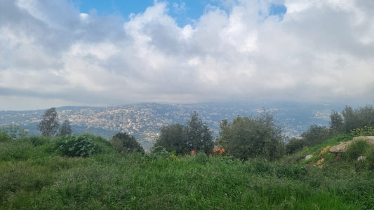 GMC281MAN Land for sale in Beit Chabab - أرض للبيع في بيت شباب