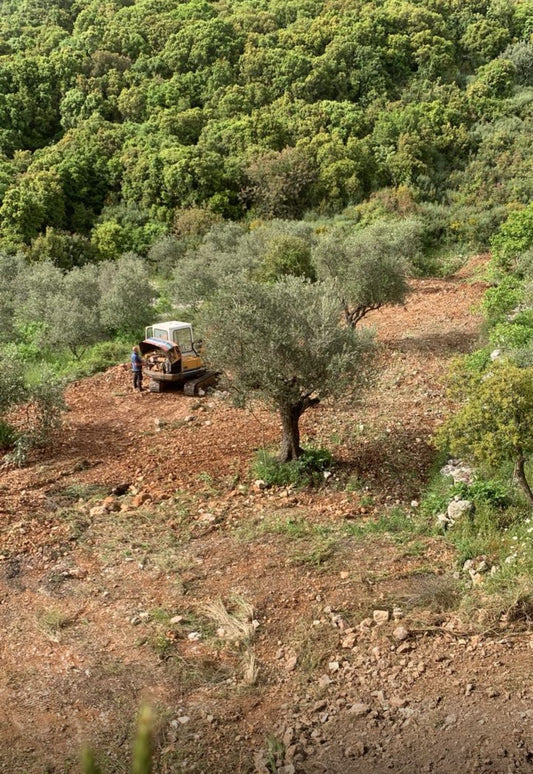 GMB249SZ - Land For Sale In Bejjeh - أرض للبيع في بجه