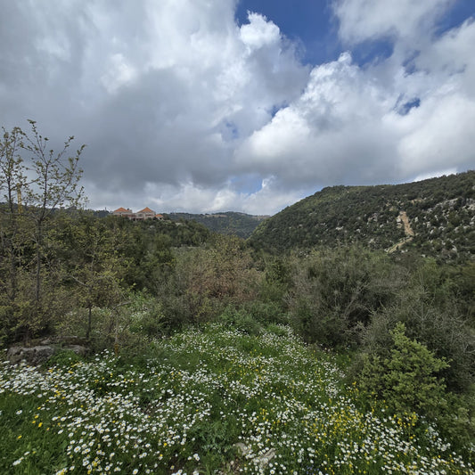 GMB101EZ Land for sale in Jbeil - أرض للبيع في جبيل